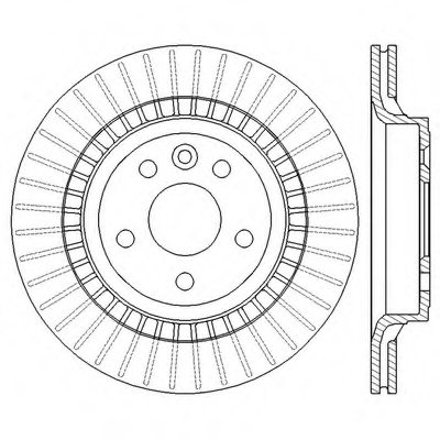 Pagid Brake disc rr