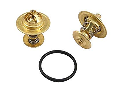 Genau Thermostat Coolent