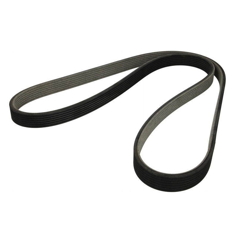Dayco V Belt